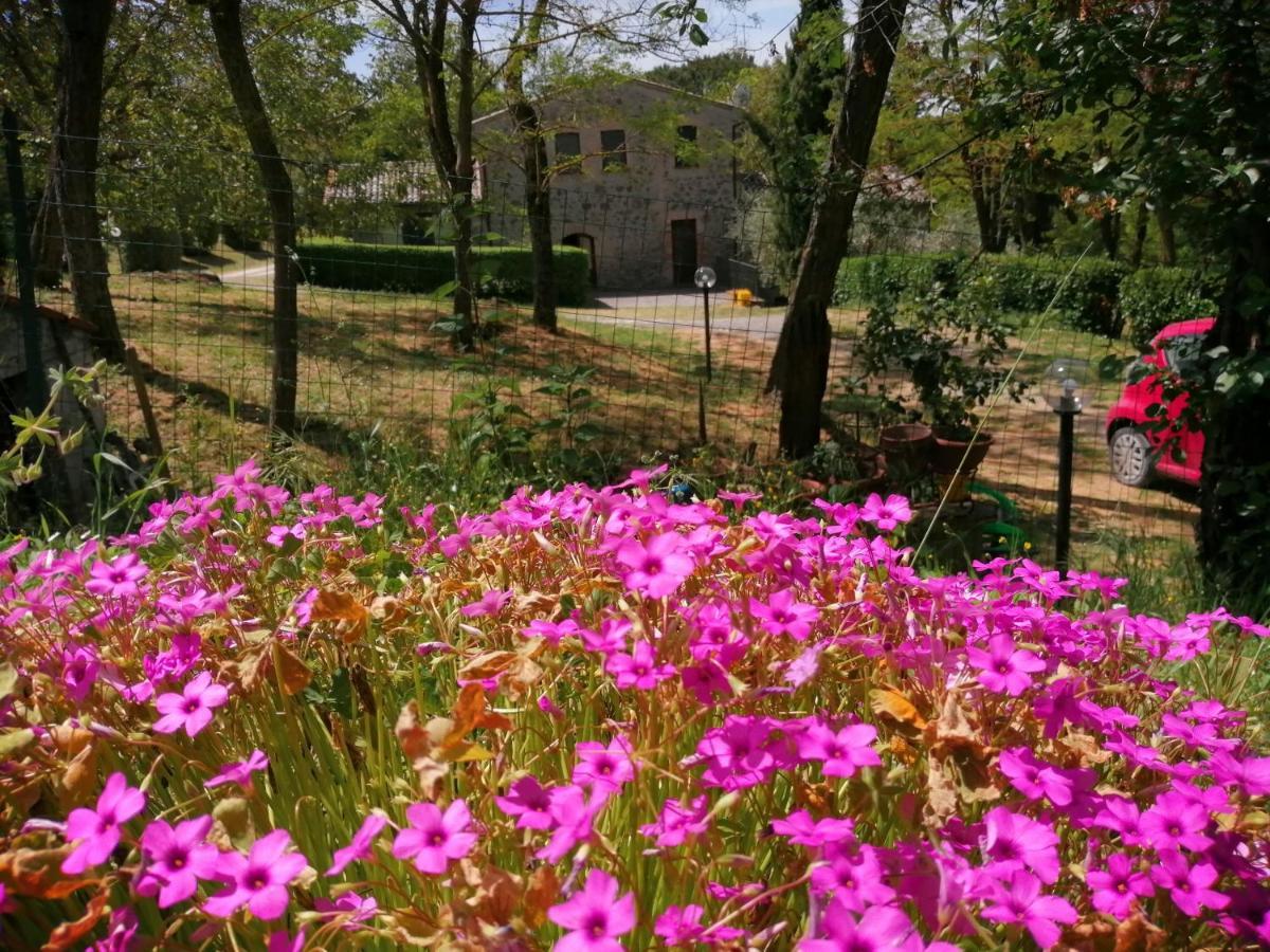 Agriturismo Il Cornalino Castel Viscardo Ngoại thất bức ảnh