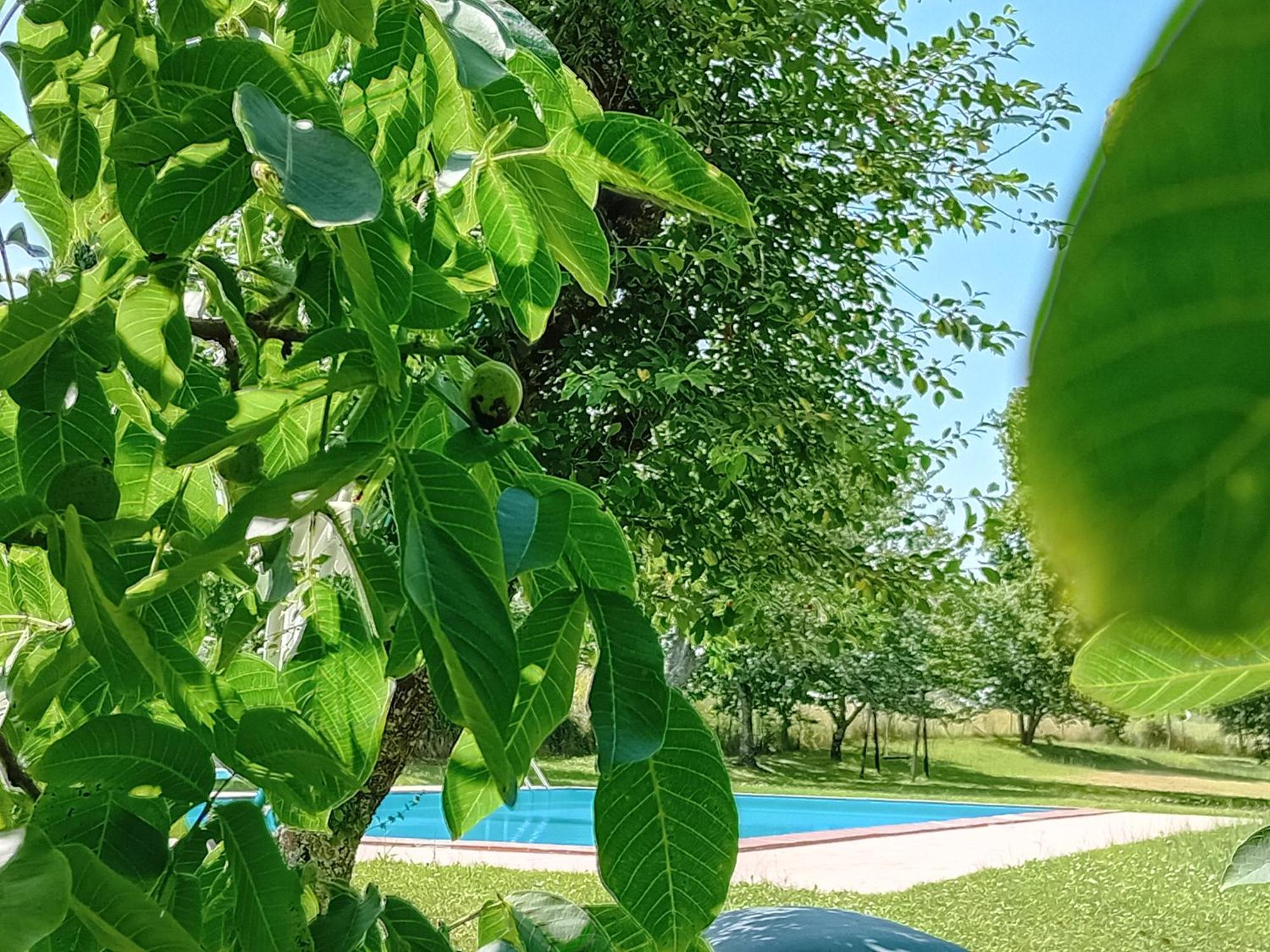 Agriturismo Il Cornalino Castel Viscardo Ngoại thất bức ảnh