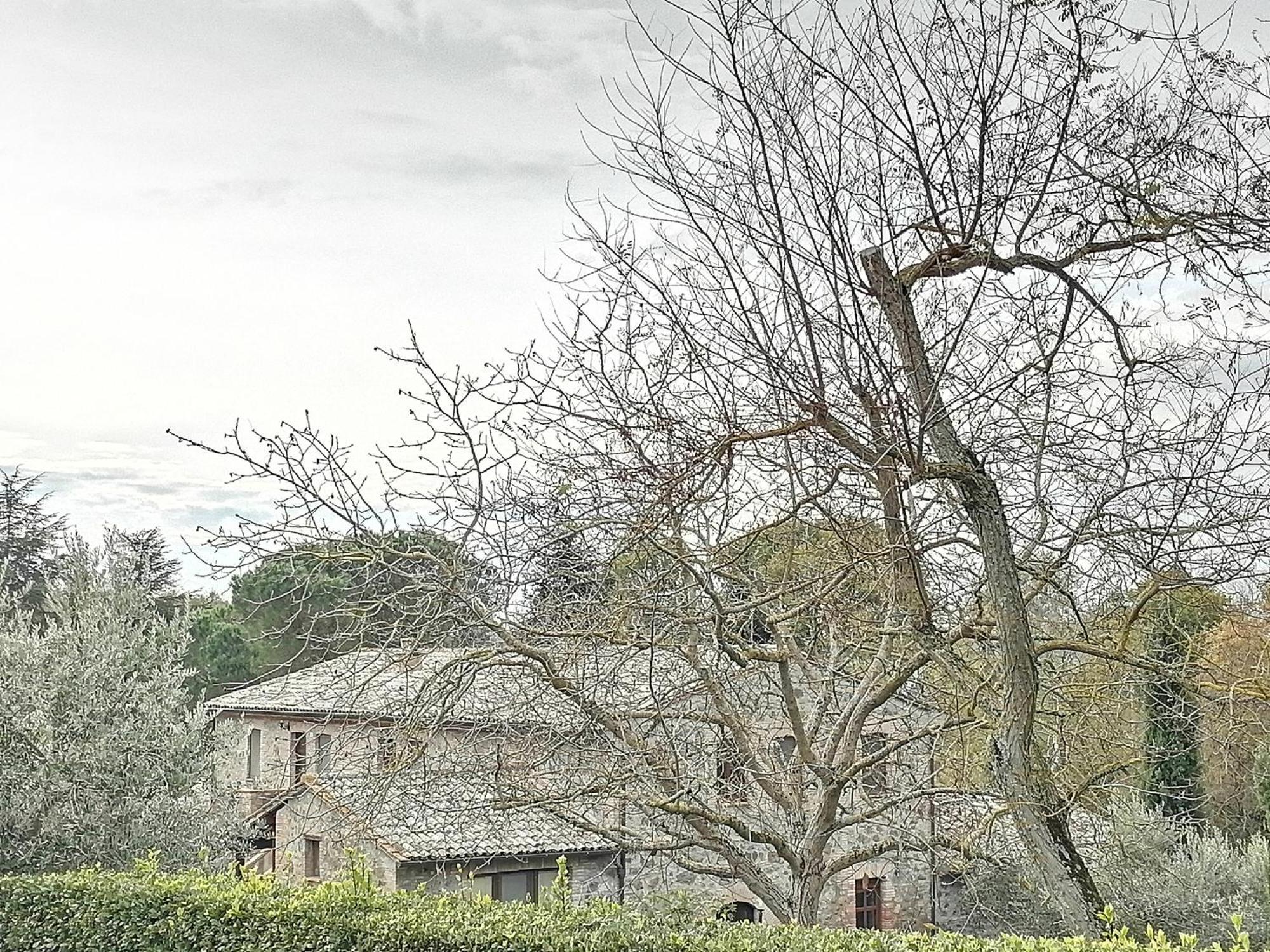 Agriturismo Il Cornalino Castel Viscardo Ngoại thất bức ảnh