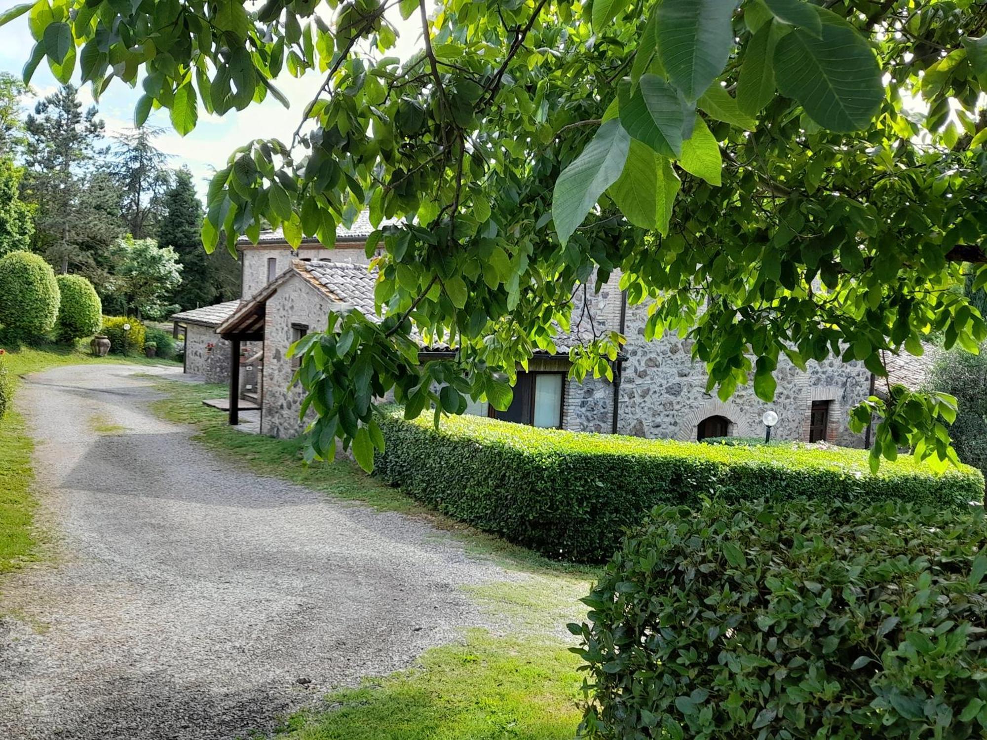 Agriturismo Il Cornalino Castel Viscardo Ngoại thất bức ảnh