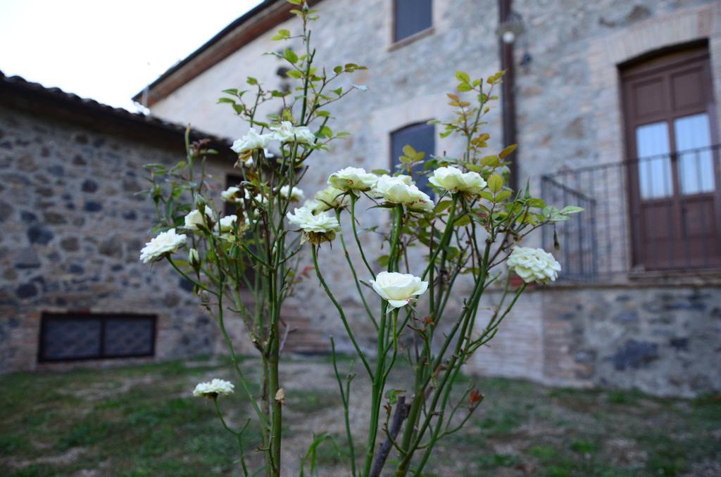 Agriturismo Il Cornalino Castel Viscardo Ngoại thất bức ảnh