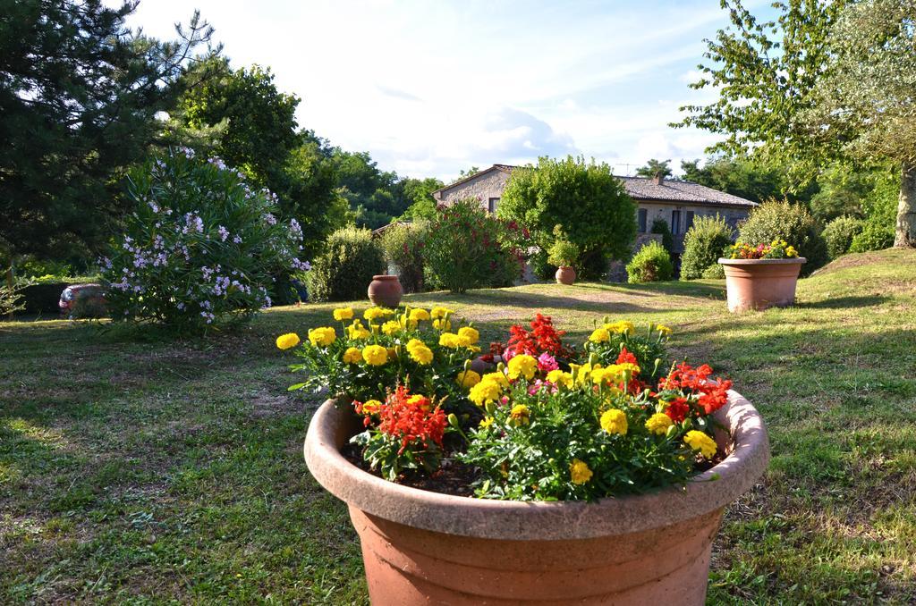 Agriturismo Il Cornalino Castel Viscardo Ngoại thất bức ảnh
